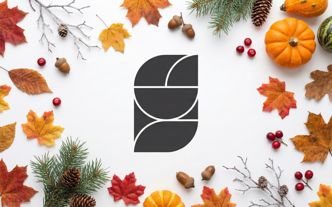 Monthly Letter – November 2025